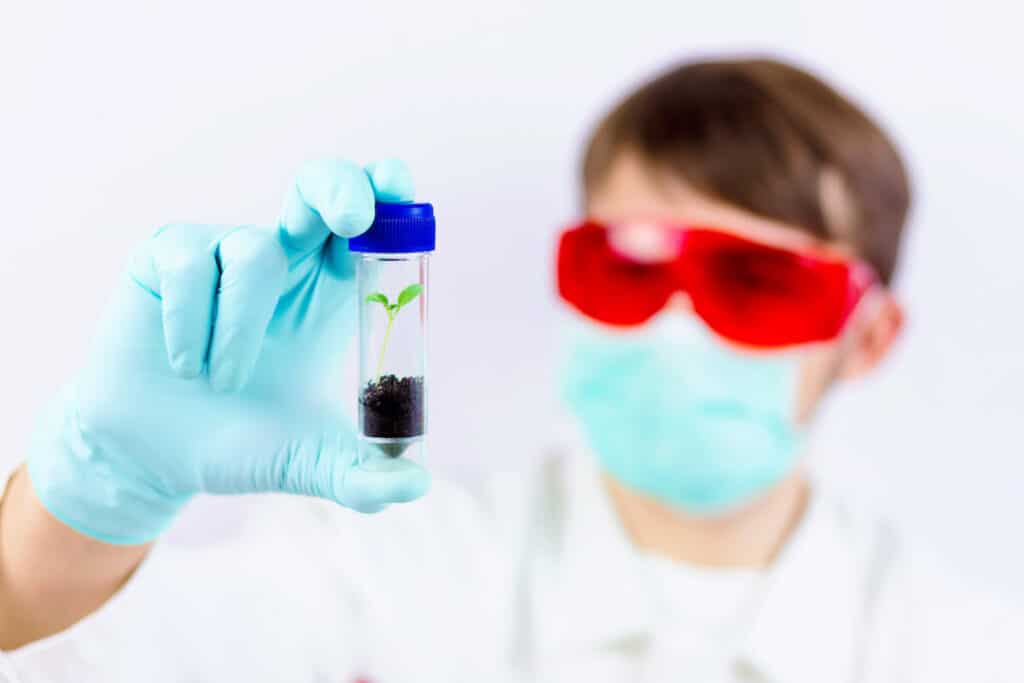 Insurance Guide for Biotechnology Companies