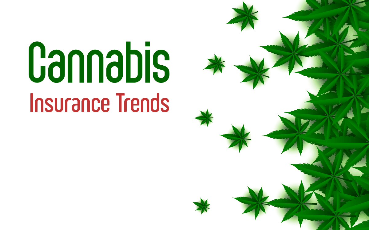 cannabis-insurance-trends