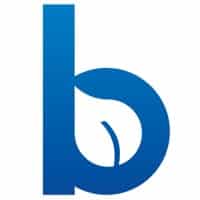 blueleafcom logo