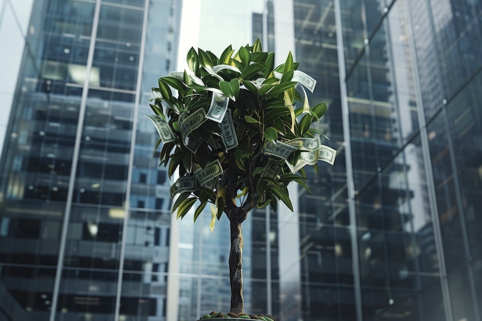 Startup Valuation 1