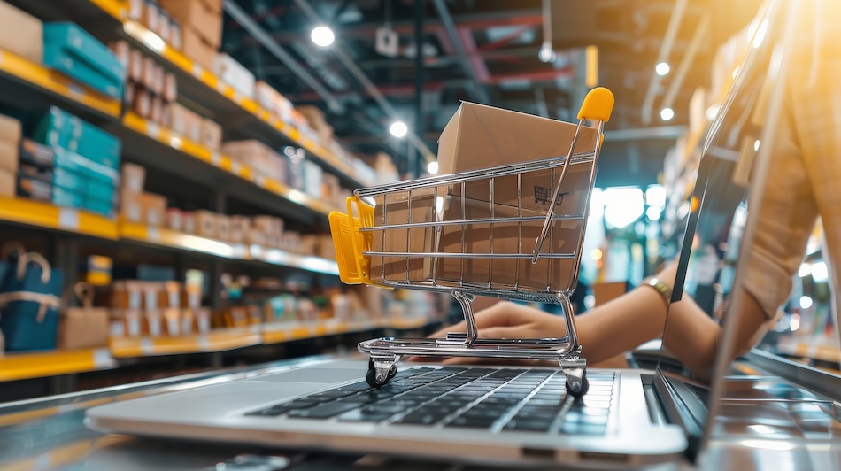 ecommerce_risks